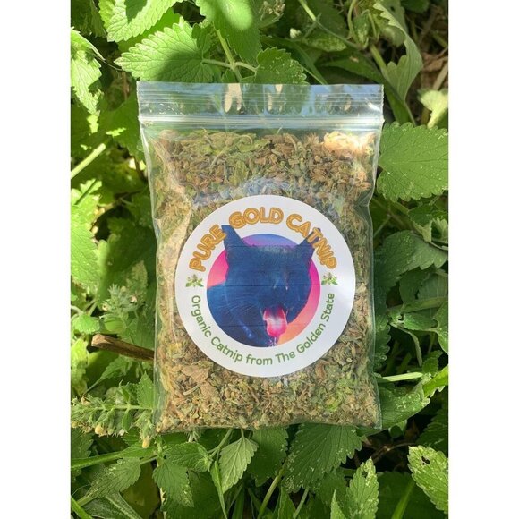 PURE GOLD Catnip Organically Grown & Harvested Pure Californian Catnip 4"x 3" - Picture 3 of 16